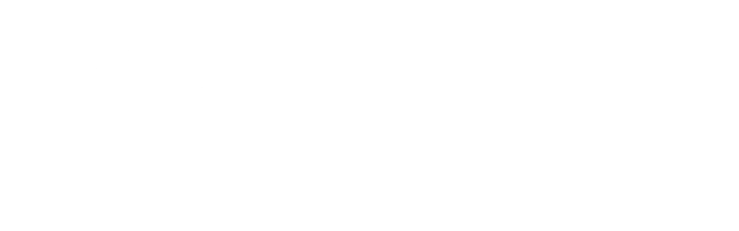 KPI Black Belt